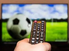 泰山队公布,费莱尼感染,新冠,亚博体彩官网,Yabo亚博体彩官网,亚博体彩官网在线娱乐平台