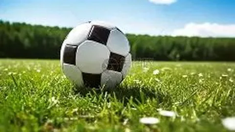 亚博体彩 产品 053837 z66